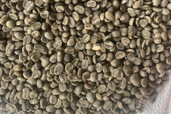 Arabica Washed AA