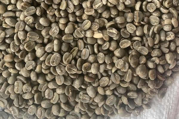 Arabica Washed AB